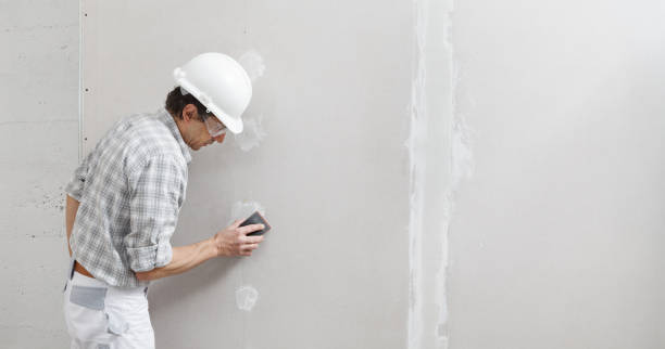 Best Mold-Related Health Consultation  in North Mankato, MN