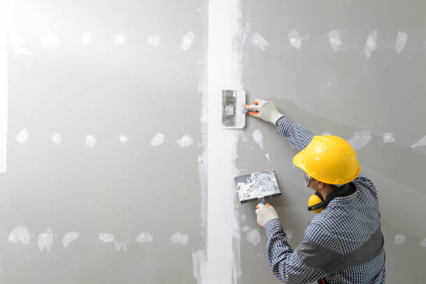 Best Industrial Mold Remediation  in North Mankato, MN
