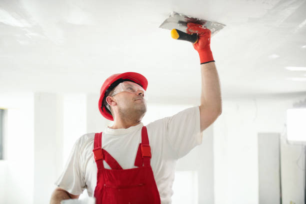 Dehumidification Services in North Mankato, MN